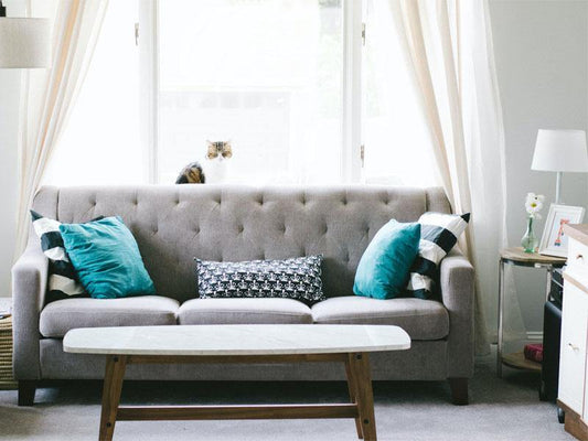 What color sofa is in style for 2021? - NTBAY® HOME