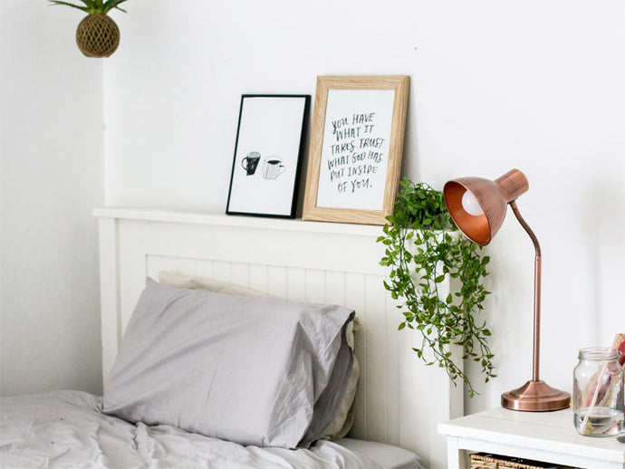 Plantas aptas para el dormitorio.