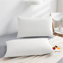 NTBAY 2 Pack Zippered Velvet Pillowcases - NTBAY